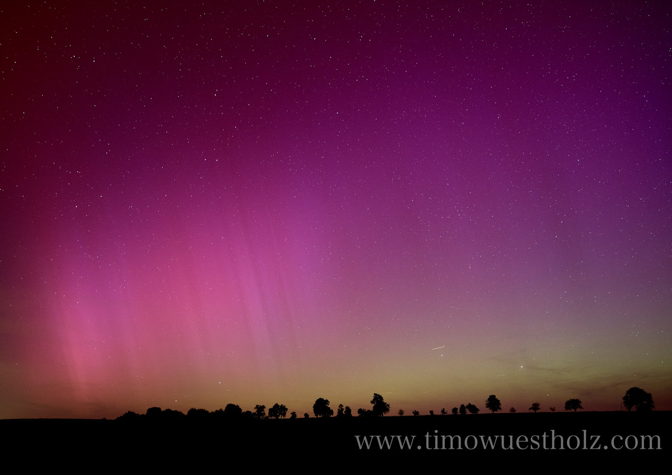 Wunderschöne rosafarbene Polarlichter über Hohenlohe. Im Vordergrund eine Baumsilhouette